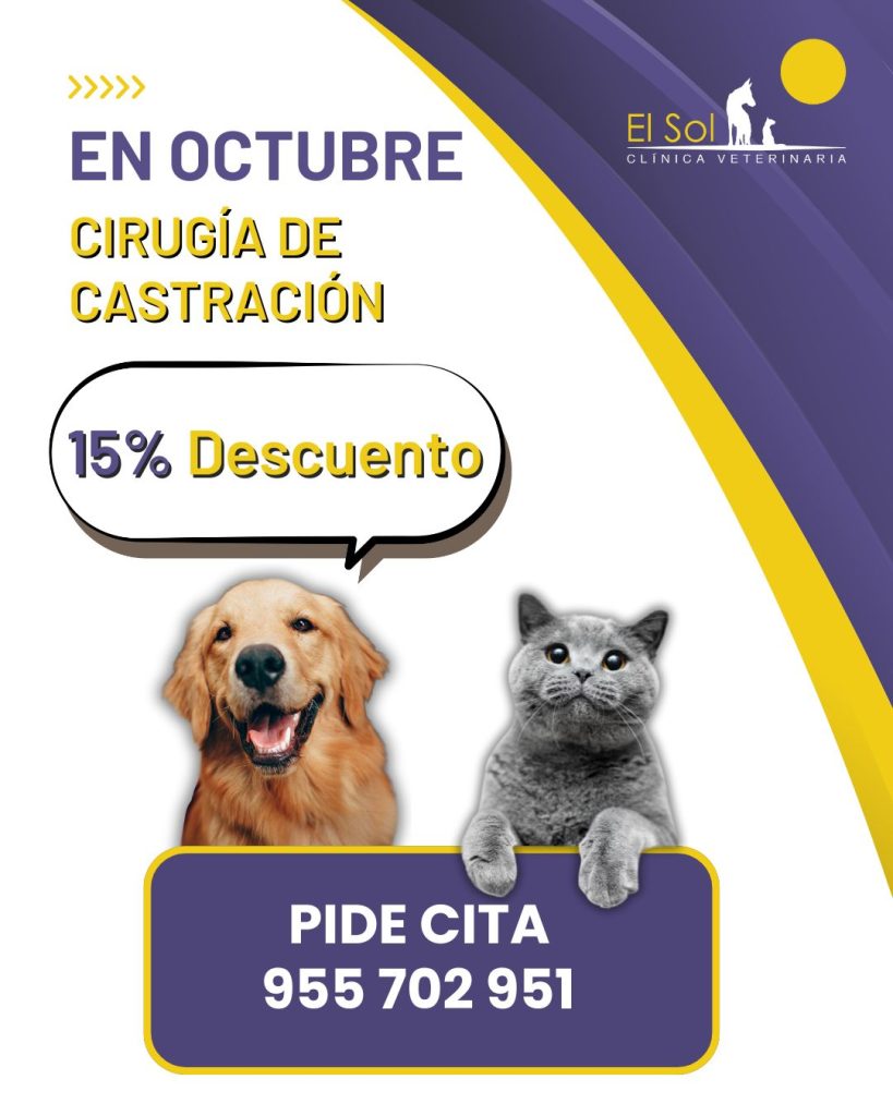 Campaña de cirugía de castración en octubre en Clínica Veterinaria El Sol, Sanlúcar la Mayor. Imagen de un perro y un gato con un mensaje de 15 % de descuento y llamada a pedir cita. Promoción especial para prevenir enfermedades y mejorar la calidad de vida de mascotas.